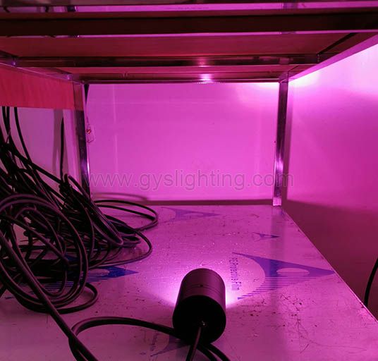 24W 2700K-5500K/RGBW CREE COB LED Spike Garden Light Spot Lamp IP67